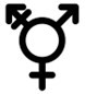 Gender Reassignment.jpg