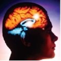 Information about epilepsy - easy read file image