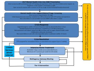 Children and Young People’s Mental Health Crisis Model.png