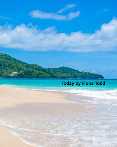 Today by Fiona Todd.png