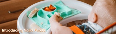 Banner - Introducing Solid Foods.jpg