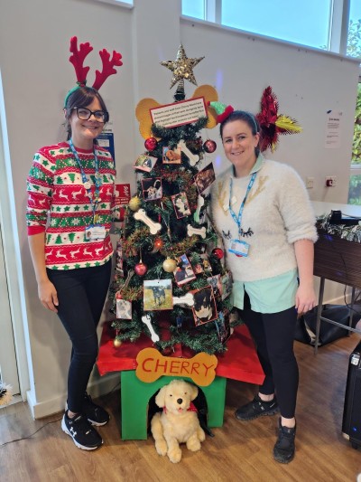 shared image (3).jpg